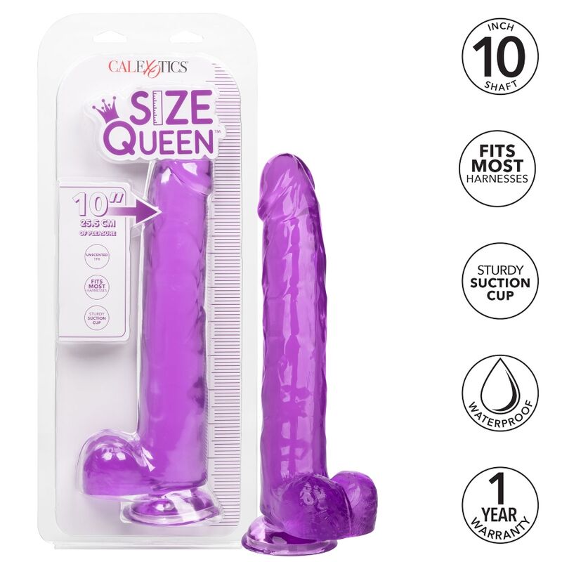CALEXOTICS - ROZMIAR QUEEN DILDO FIOLETOWY 25,5 CM