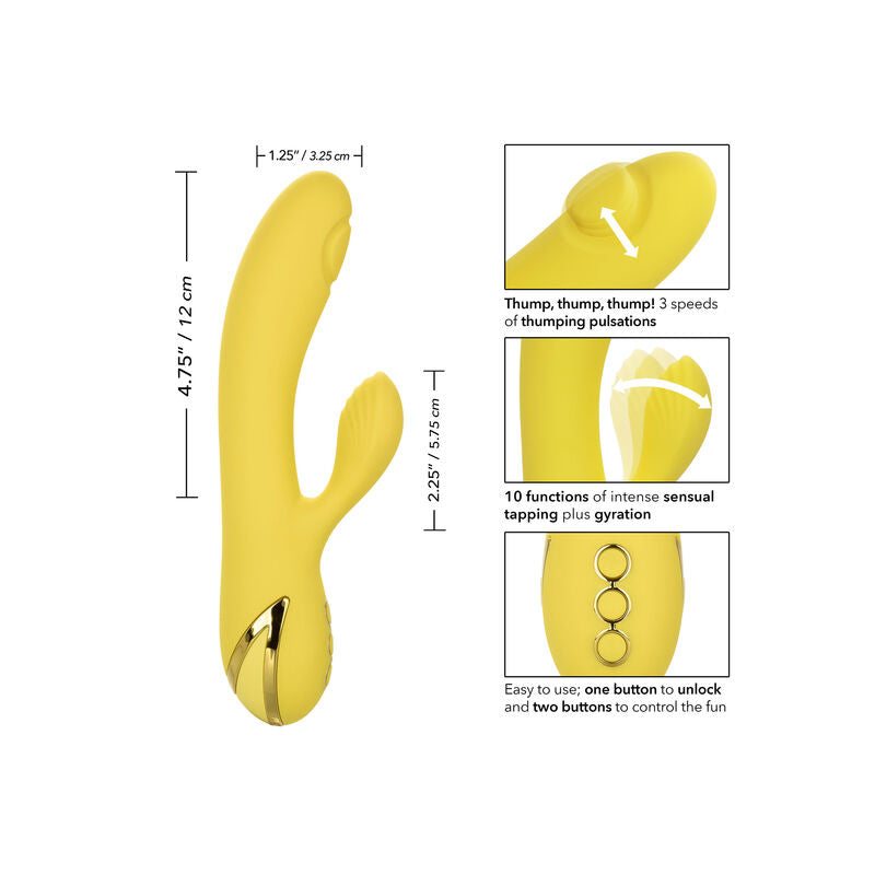 CALEXOTICS - UWODZENIE W SAN DIEGO