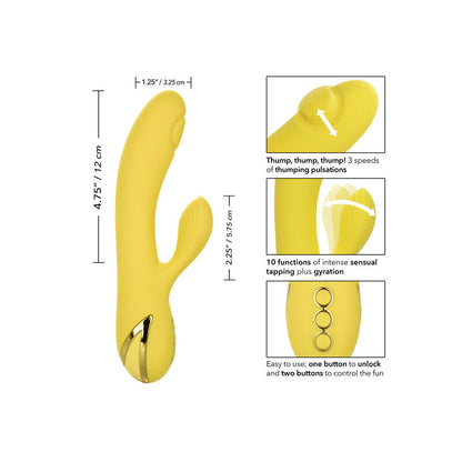 CALEXOTICS - UWODZENIE W SAN DIEGO