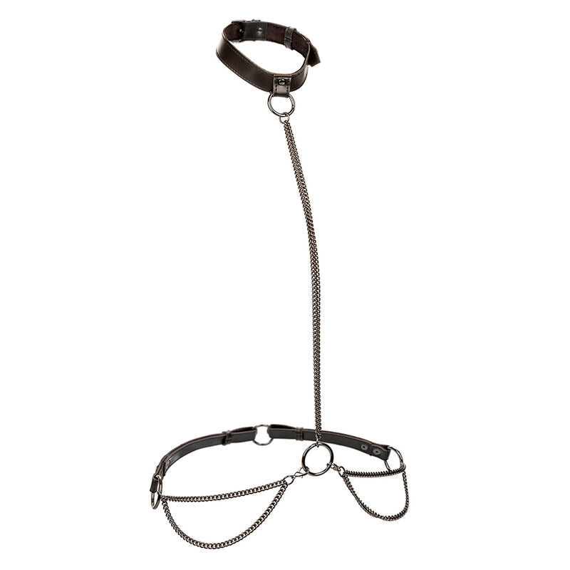 CALEXOTICS - EUPHORIA CHAIN ​​HALTER COLLAR &amp; LEASH