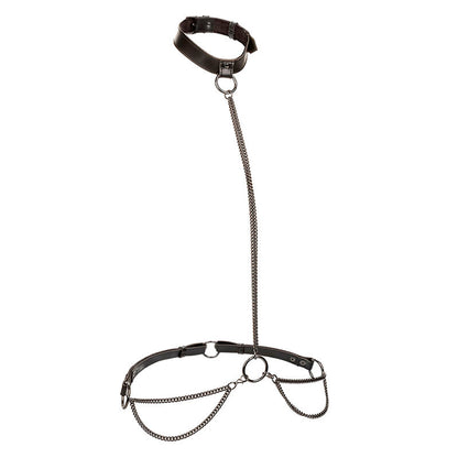 CALEXOTICS - EUPHORIA CHAIN ​​HALTER COLLAR &amp; LEASH
