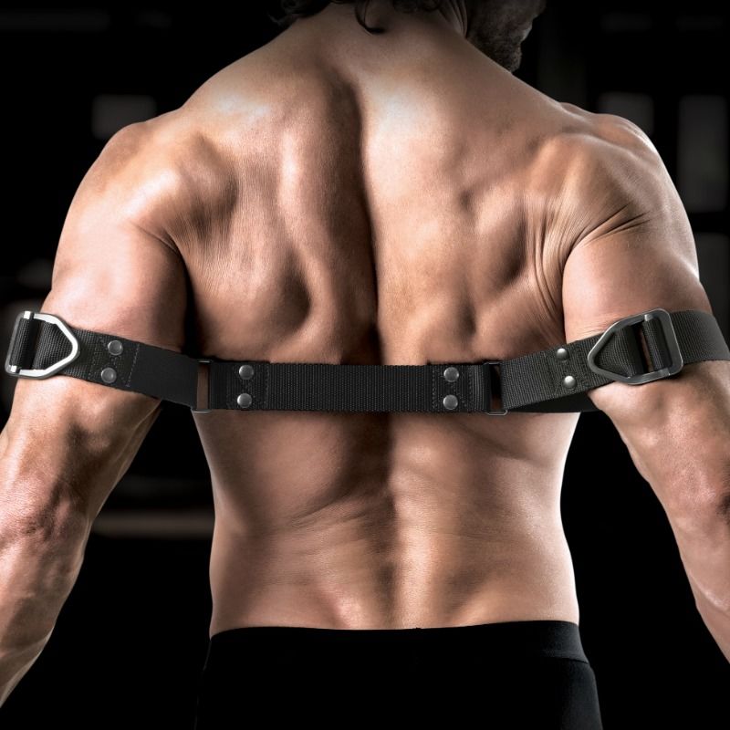 SIR RICHARDS - DOWÓDCA ZGINACZ BICEPSÓW