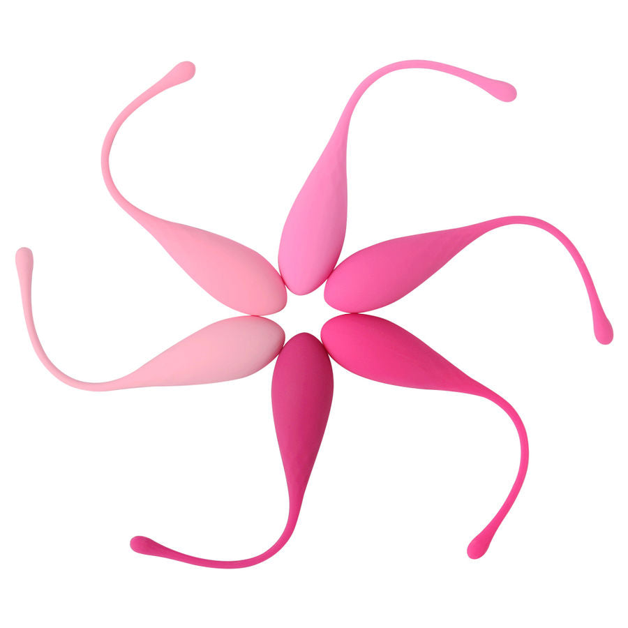 LESLIE - ZESTAW DO TRENINGU MIĘŚNI MIĘŚNI MIĘŚNI KEGEL FIT 6 OBCIĄŻNIKÓW