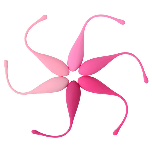 LESLIE - ZESTAW DO TRENINGU MIĘŚNI MIĘŚNI MIĘŚNI KEGEL FIT 6 OBCIĄŻNIKÓW